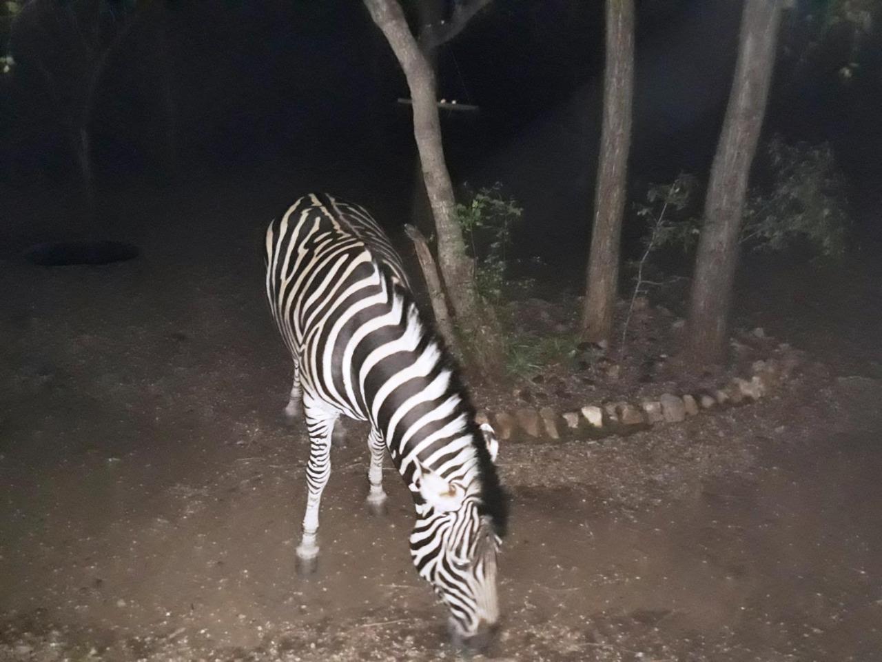 African Sky Marloth Park Kültér fotó